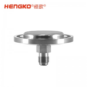 微電子半導(dǎo)體晶圓制程工藝氣體過濾終端 316L 外殼快速進氣擴散器