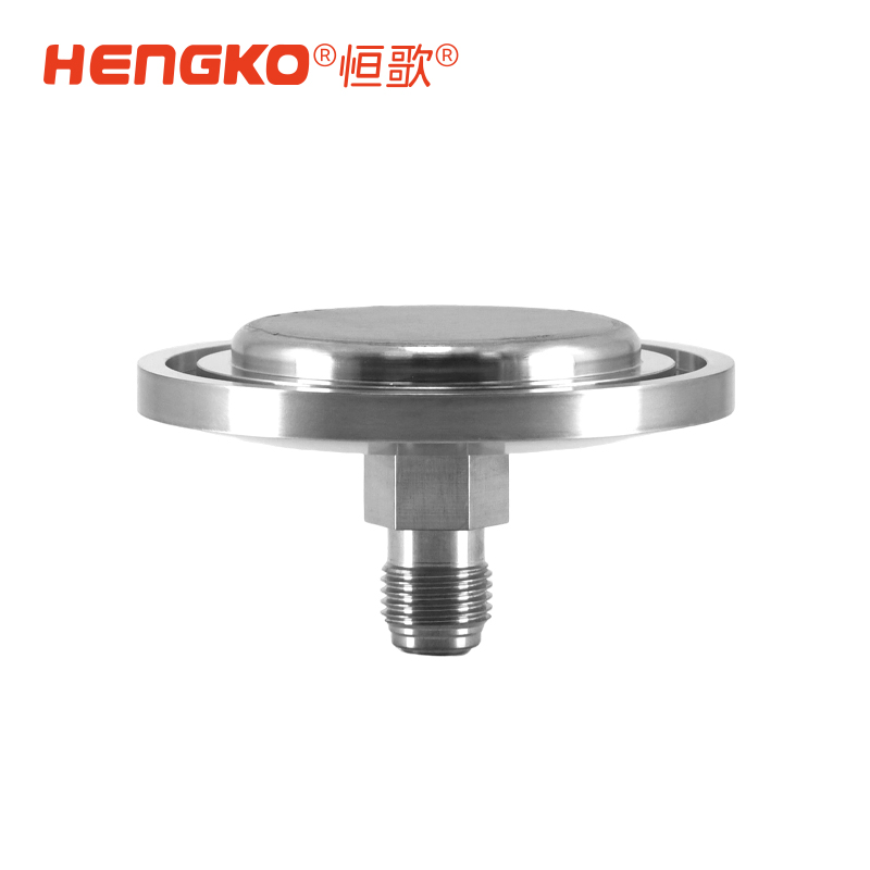 供應半導體大宗氣體終端晶圓制程工藝氣體全金屬氣體過濾器 Featured Image