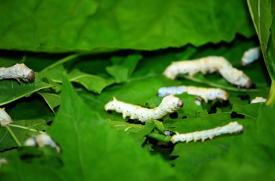 微信圖片_20251112112708_635_20