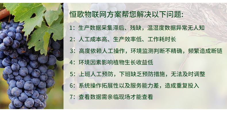 物聯網-1688_05