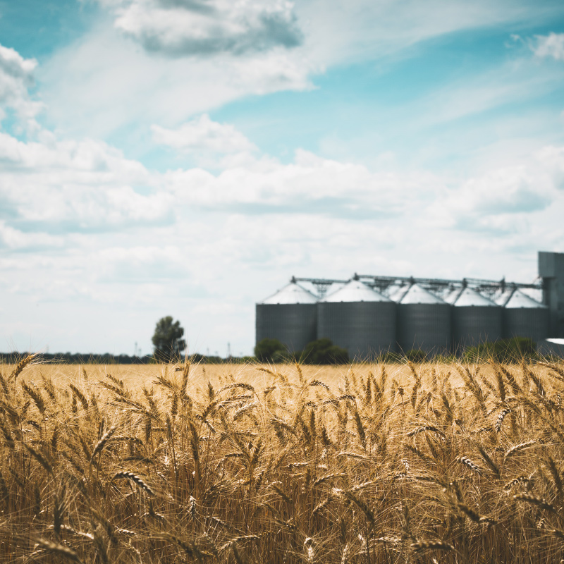 恒歌智能監控溫濕度環境監測解決方案 智慧糧倉溫濕度監控系統 Featured Image